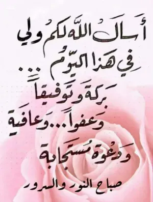 ارض بالسيدة عائشة