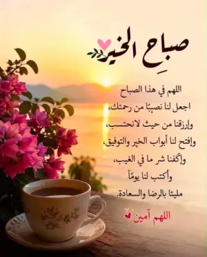 3500م خلف جامع السيدة عائشة